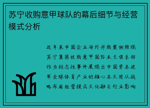 苏宁收购意甲球队的幕后细节与经营模式分析
